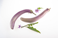 Chinese Long